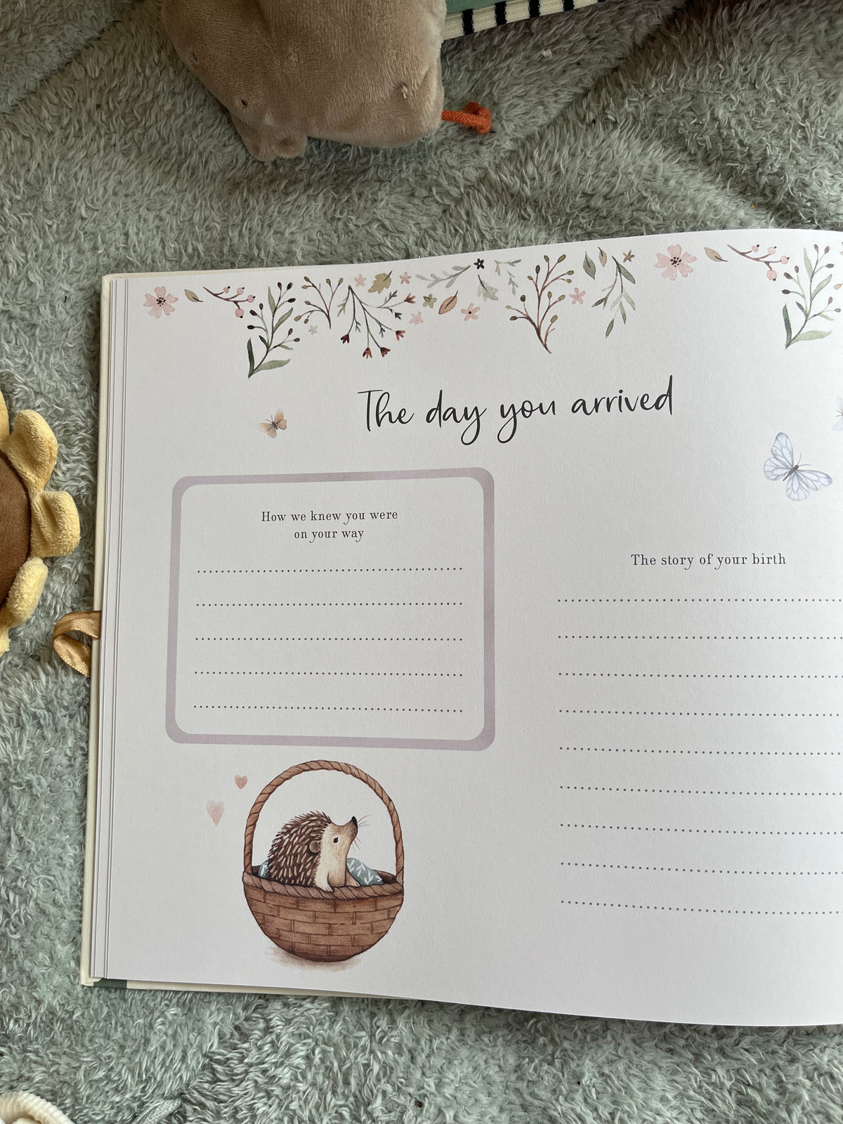 Baby's First Year: New Mum & Baby Memories Keepsake Set
