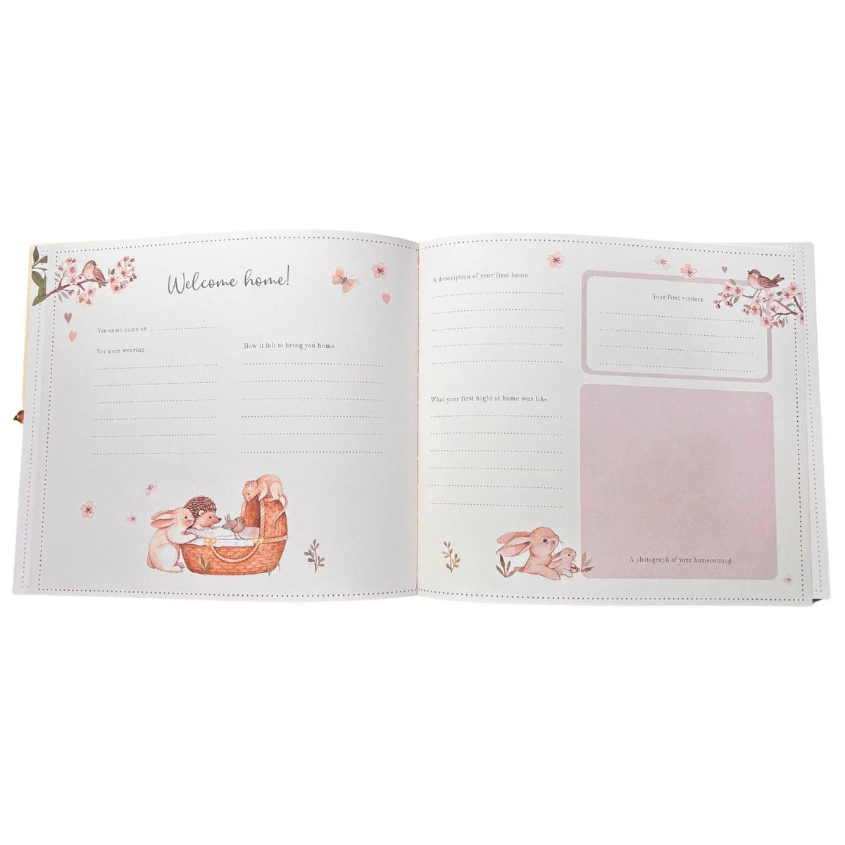 From Bump to Baby: The Complete Memory Book Collection
